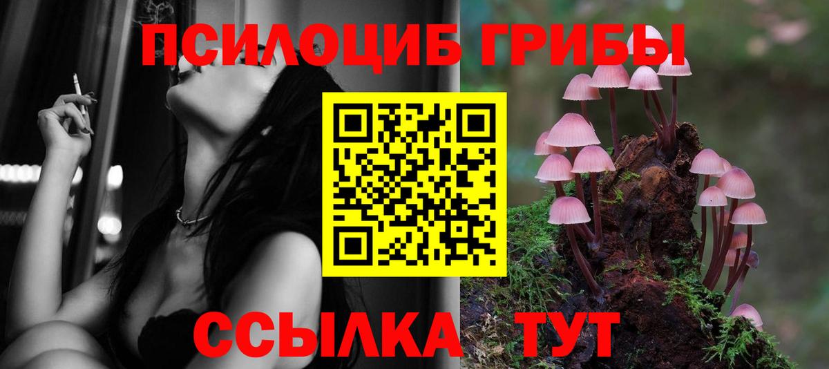 Сегежа  Псилоцибиновые грибы мухоморы  Вход с VPN 